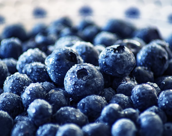 冷凍藍莓，一個被嚴重低估的產品